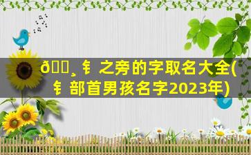 🕸 钅之旁的字取名大全(钅部首男孩名字2023年)